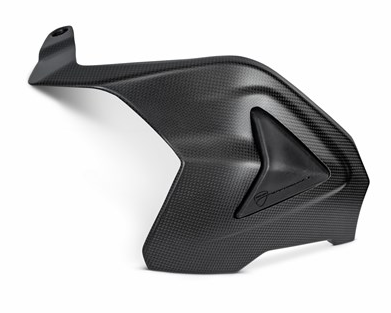 Carbon Swingarm Guard (Streetfighter) (Matte)