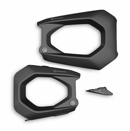 Carbon Swingarm Guard (Panigale)