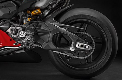 Carbon Swingarm Guard (Panigale)