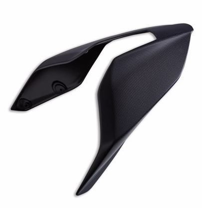 Carbon Single Seater Tail Guard (Matte)