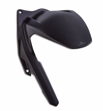 Carbon Rear Mudguard (Panigale)