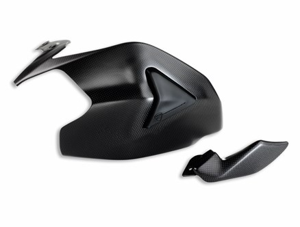 Carbon Swingarm Guard