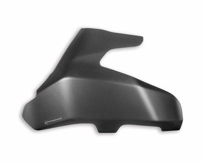 Carbon Swingarm Guard